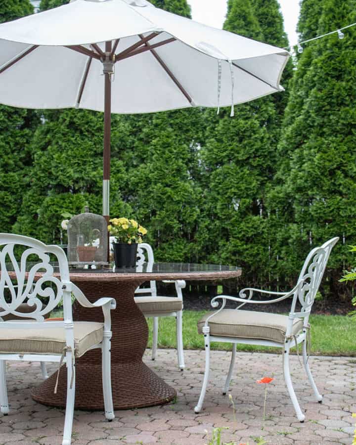 small backyard privacy ideas with trees and shrubs