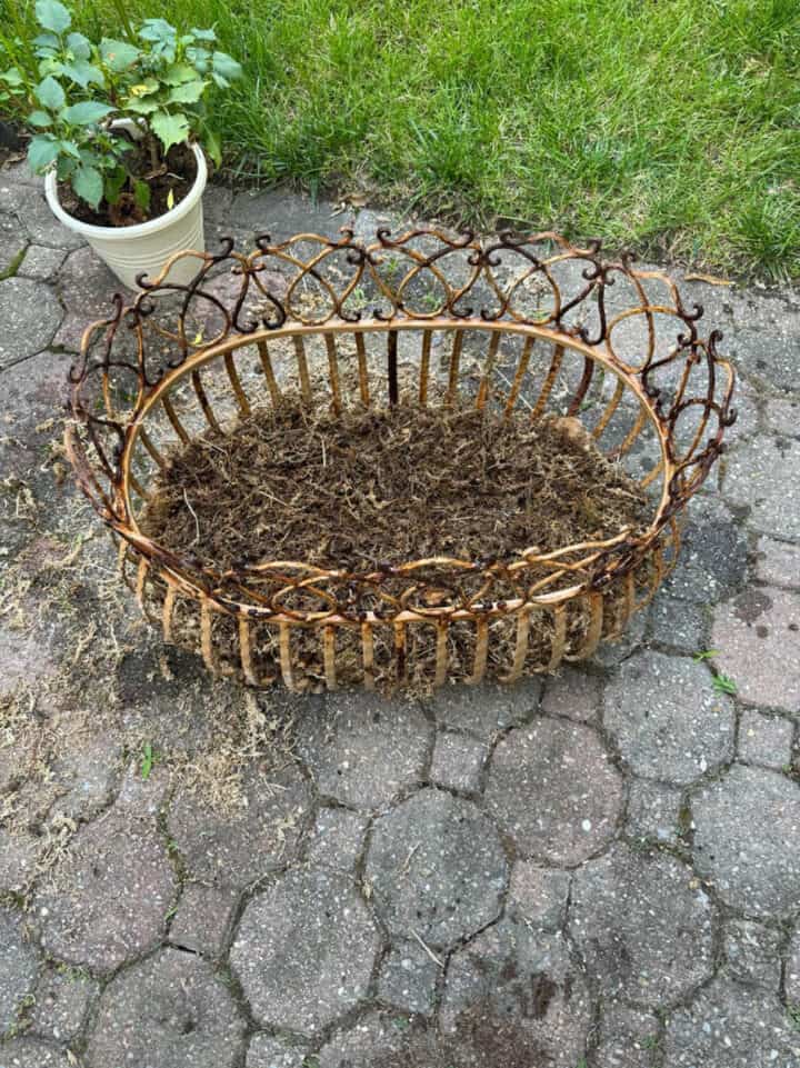 antique-iron-planter
