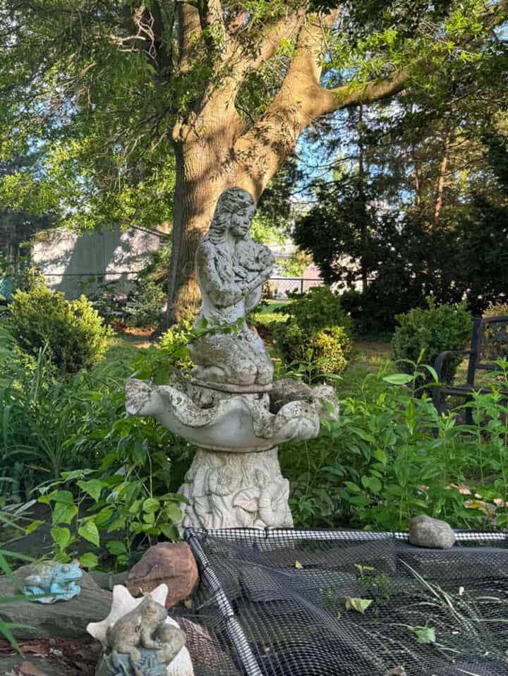 backyard-fish-pond-720x958-1 backyard-fish-pond