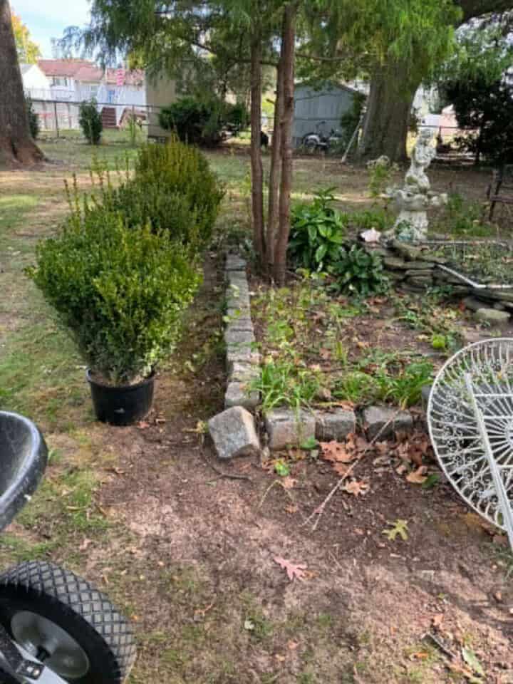 boxwood-garden-720x960-1 boxwood-garden