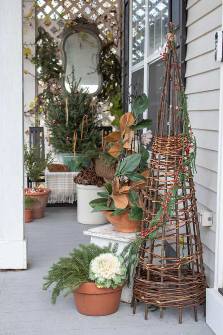 Christmas plants for front porch