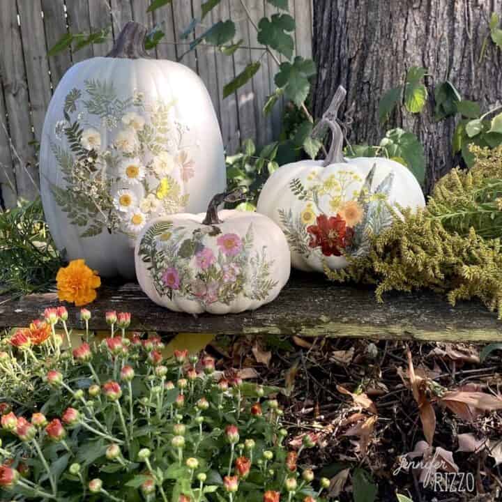 Dried-floral-decoupaged-pumpkins-Jennifer-Rizzo