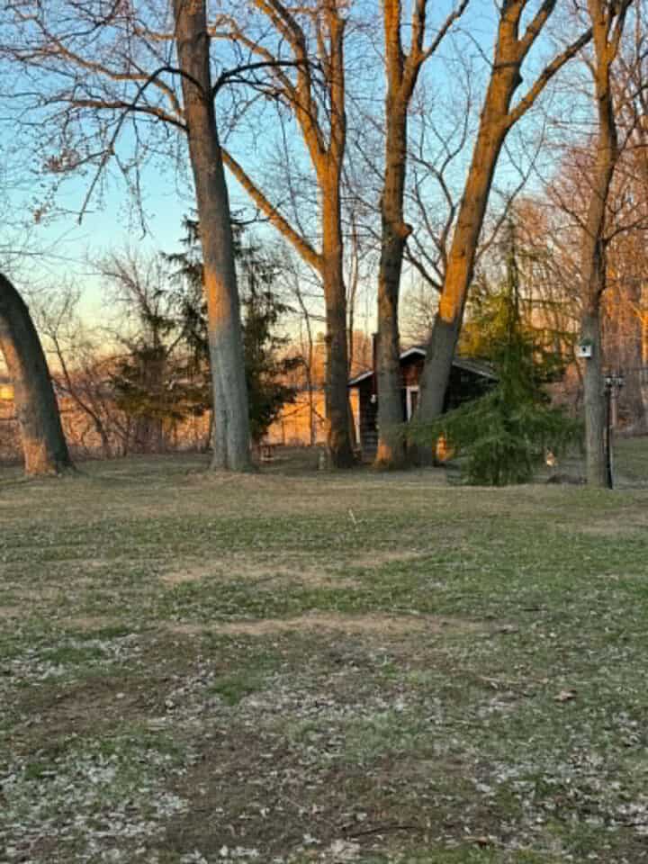 fall-backyard-720x960-1
