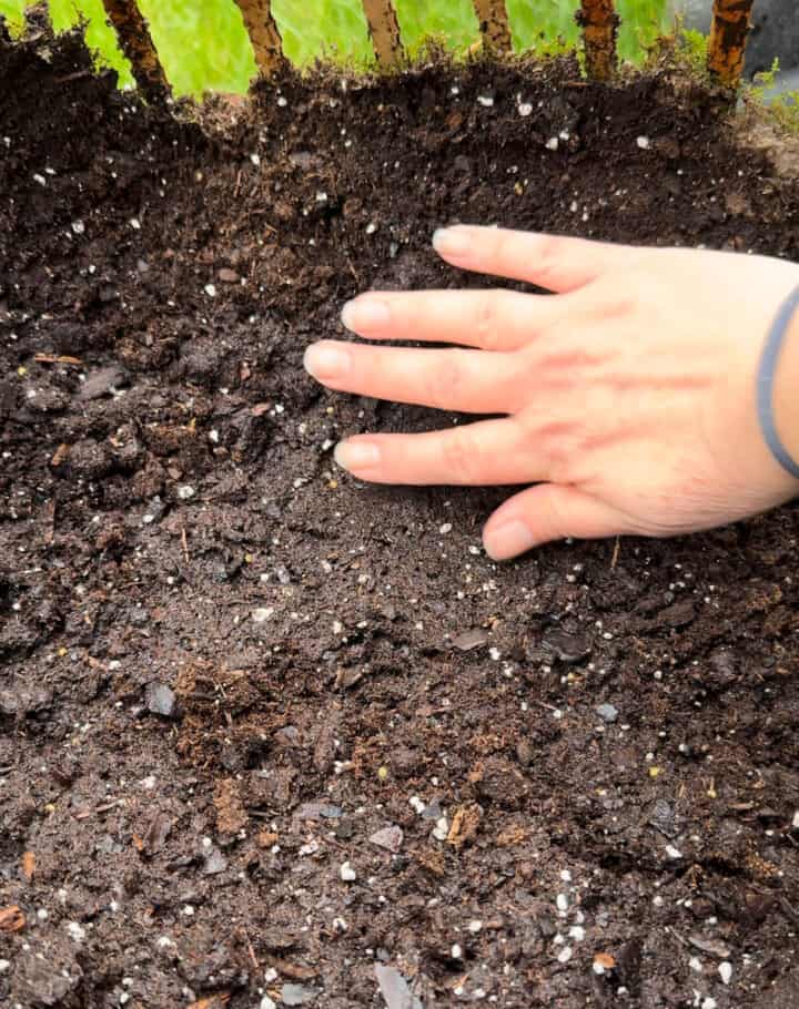 how-to-line-an-open-planter-with-moss