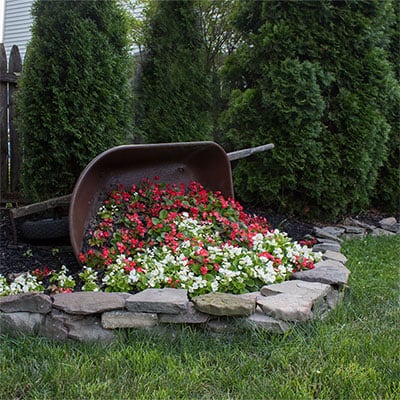 How to prep a wheelbarrow to use as a planter FI