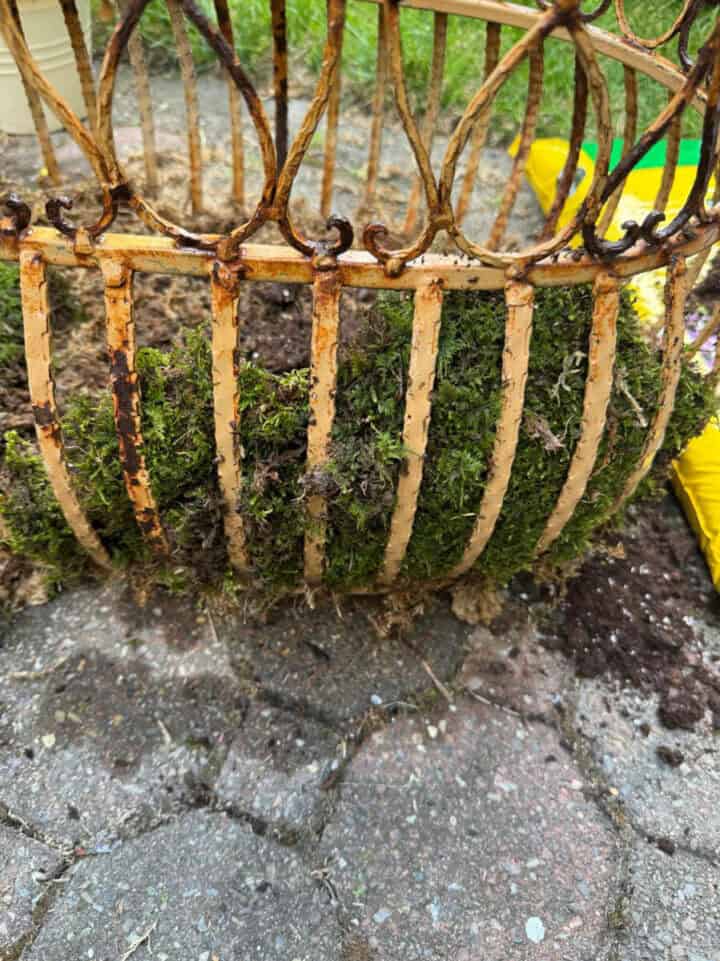 how-to-use-moss-in-planters