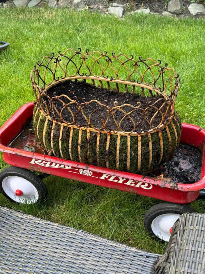 lining-an-antique-planter-with-moss