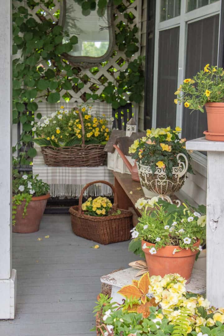 porch-flowers