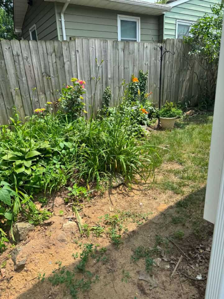 side-yard-720x960-1 side-yard