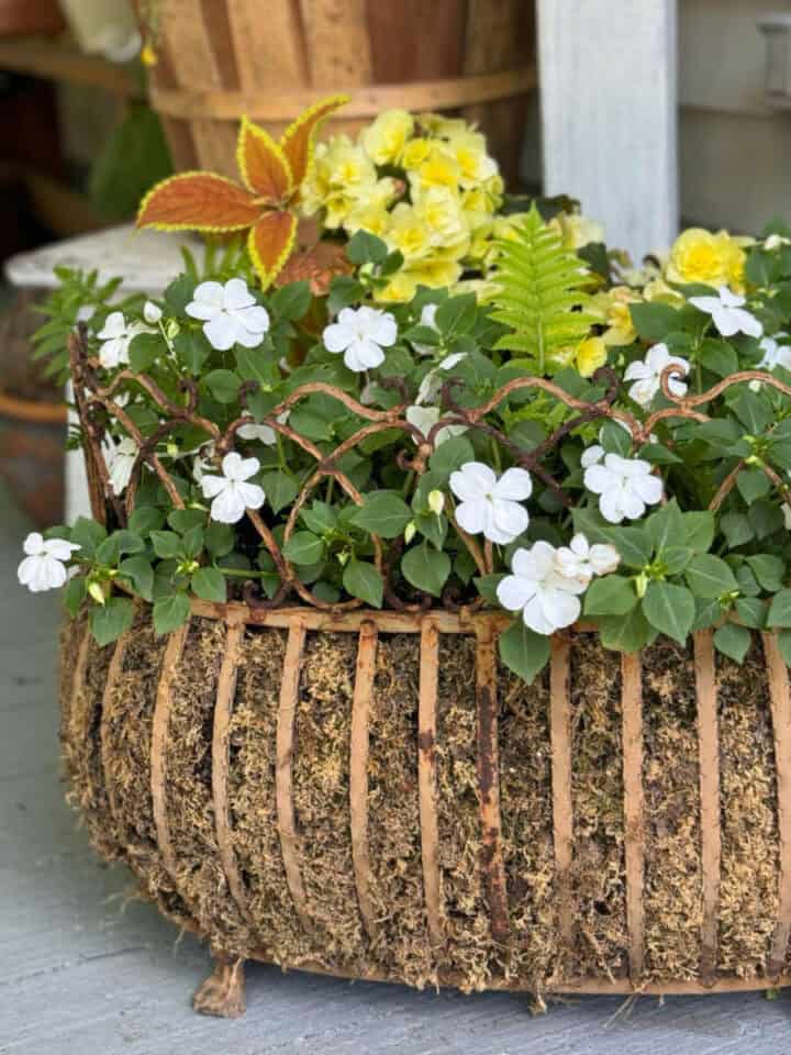 vintage-iron-planter-ideas